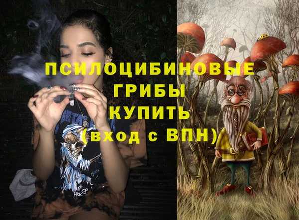 амф Володарск