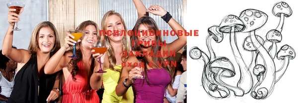 круглые Вязьма
