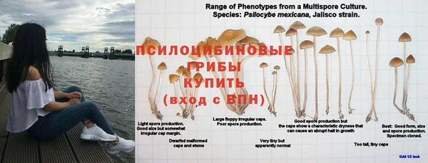 мяу мяу кристалл Горно-Алтайск