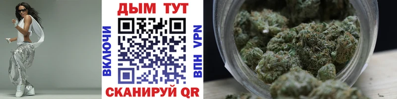 MEGA сайт  сайты даркнета наркотические препараты  Бошки Шишки VHQ  Закаменск 